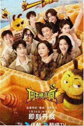 热门明星综艺